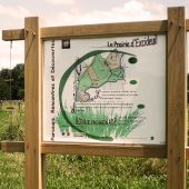 Bi-mât bois, panneau stratifié numérique