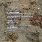 Plaque plexiglass translucide gravée et mise en blanc