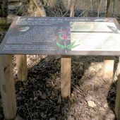 Table de lecture sur mono-mât, visuel en stratifié numérique