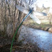 Libellule imprimée sur plexiglass de 10 mm découpée à la forme sur tige fer galbée