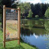 Bi-mât bois lasuré, décor sur panneau en polycarbonate sérigraphié quadrichromie